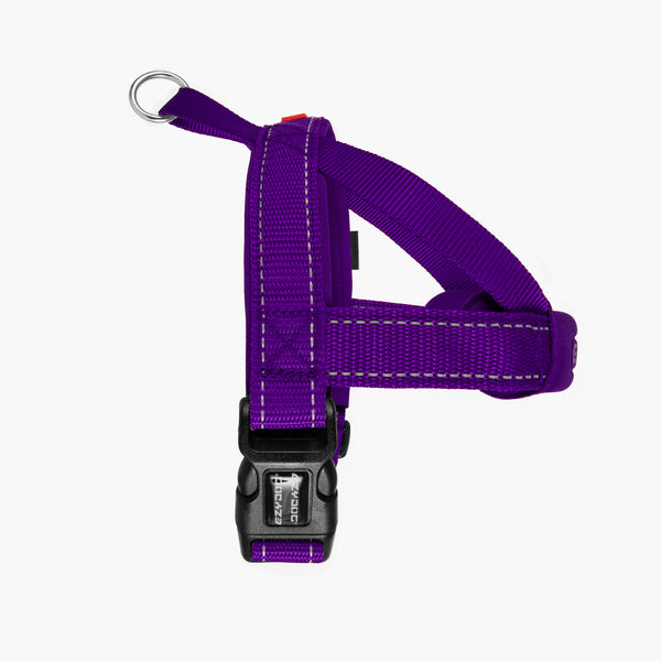 Arnés Quick Fit™