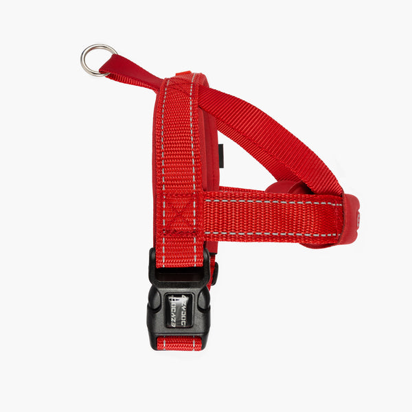 Arnés Quick Fit™