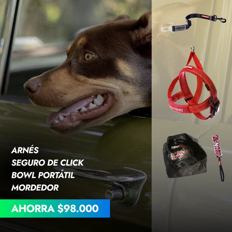 Pack Viajero